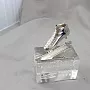 Приз для конькобежцев